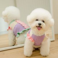 Cute Flying Sleeve Puppy Dress Thin Pet Clothes Autumn and Winter Warm Pullover Teddy Bottoming Shirt Fashion Dog Clothes Dresses