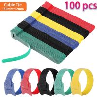 100PCS Releasable Cable Ties Colored Plastics Reusable Cable ties Nylon Loop Wrap Zip Bundle Ties T-type Cable Tie Wire Cable Management