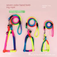 สีสัน Harness Dog Cat Leash สุนัขอุปกรณ์เสริมสำหรับรอบ Rainbow สี Chain Collar แมวสัตว์เลี้ยงรายการที่ขายดีที่สุด Products