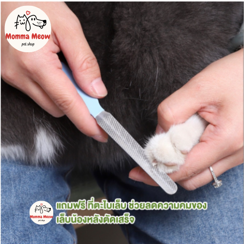 ชุดกรรไกรตัดเล็บสัตว์เลี้ยง-ที่ตะไบ-ดีไซน์หูกระต่าย-กรรไกรตัดเล็บสุนัข-pet-nail-clipper-ที่ตัดเล็บสุนัข-กรรไกรตัดเล็บแมว