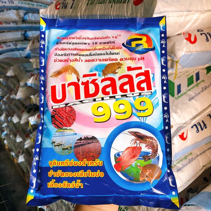 จุลินทรีย์-999-จุลินทรีย์ผงสำหรับบำบัดน้ำเสียในบ่อเลี้ยงสัตว์น้ำ-ช่วยสร้างสีน้ำ-ลดความเครียด-ควบคุม-ph-ผลิตจากหัวเชื้อจุลินทรีย์