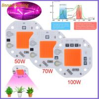 LINNANZHUBING โคมไฟปลูกพืชแบบเต็มสเปกตรัม220V LED COB Chip Grow แสง