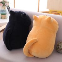 《Petty bourgeoisie life》 Soft Plush Cat Kids Plush Cartoon Animals Cat Doll Office Nap Pillow Bed Sleep Pillow Home Decor Cute Toy Kid Girl Birthday Gift