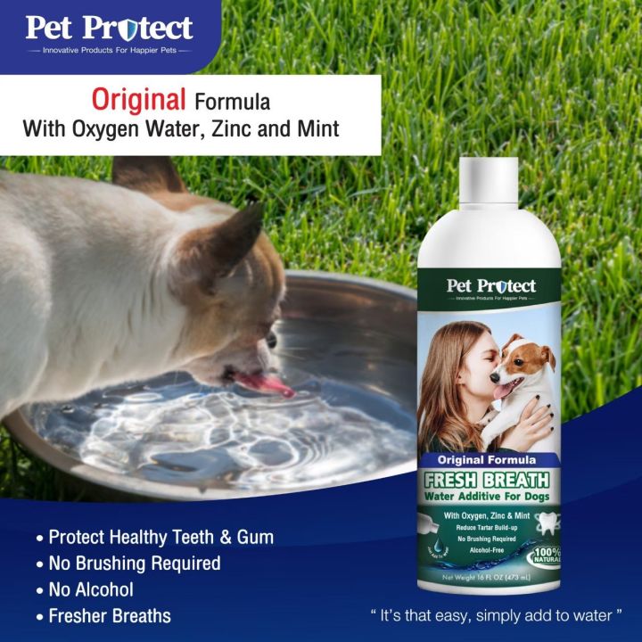 pet-protect-original-formula-สีเขียว-น้ำยาดับกลิ่นปากสำหรับ-สุนัข-ใช้ผสมน้ำดื่ม-ลดคราบหินปูน-ลดกลิ่นปาก