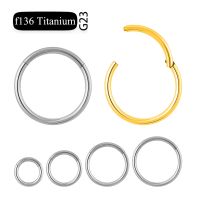 G23 Titanium cartilage Hoop nose ring withwith nipple bellybutton piercing Indian studs earrings Body Jewelry Body jewellery