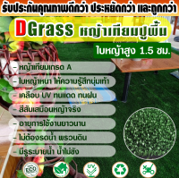 หญ้าเทียมปูพื้น Dgrass สำหรับตกแต่งสวน หญ้าเกรด A สีเหมือนจริง อายุการใช้งานยาวนาน ความสูง 1.5 ซม. รุ่น 1.5JL (สีเขียวเข้ม) มีขนาดให้เลือก