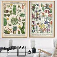 Modern Wall Art With Plant, Flower, Cacti และ Succulent Prints-ภาพวาดผ้าใบสไตล์สแกนดิเนเวีย-เหมาะสำหรับตกแต่งบ้านในห้องนั่งเล่น-Cuadros