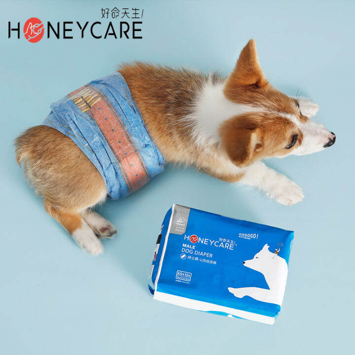 Honeycare [Ready in Stock] new arrival dog diaper denim female