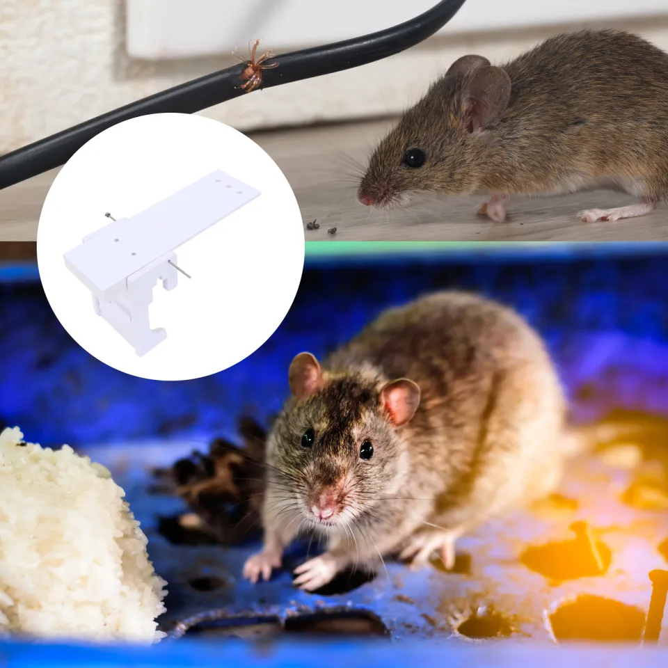 DIY Home Garden Pest Controller Rat Trap Quick Kill Seesaw Mouse Catcher  Bait Home Rat Traps Mouse Pest Mice Traps