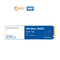 WD BLUE SN570 250GB M.2 2280 SSD (เอสเอสดี) (WDS250G3B0C)