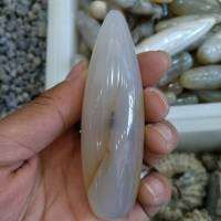หินปาล์ม Dendrite Moss Reiki ไม้กายสิทธิ์นวดโมราลายแขนงดาวสวย