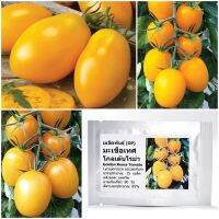 เมล็ดพันธุ์ มะเขือเทศ โกลเด้นโรม่า Golden Roma Tomato Seed บรรจุ 25 เมล็ด คุณภาพดี ราคาถูก ของแท้ 100%