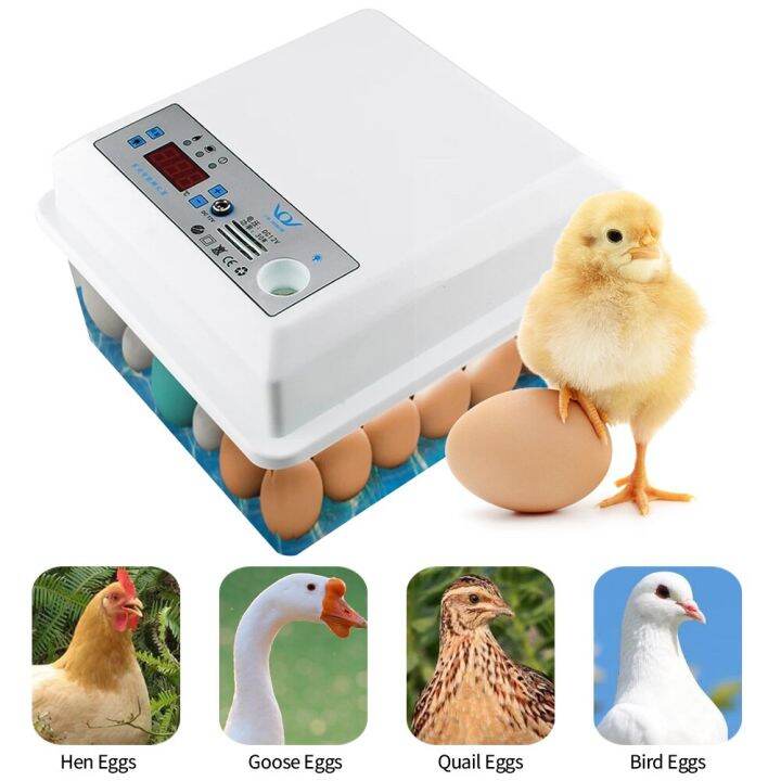 Chicken Automatic Eggs Incubator Bird Quail Brooder Full Automatic Egg