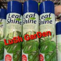 Leaf Shine คริสซอล สเปรย์ฉีดใบมัน ☘?☘☀️ ขนาด 600 ml.