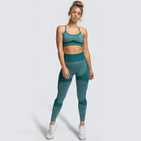 New Two pcs Set Yoga Vest Suit Women Seamless Sports Running Fitness Bra High Waist Leggings Suit Tracksuit Workout Gym Clothes