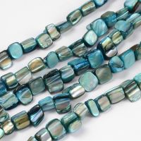 1Strand  Shell Beads Strands Dyed Cyan about 8~17.5mm long 5~8mm wide 5mm thick hole: 1mm 16 inch/strand 40pcs/strand