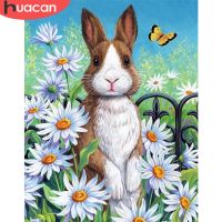 HUACAN Painting By Number Rabbit Animal Kits For Adults Handpainted DIY Coloring By Number Daisy On Canvas Home Decoration