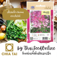 CTFW เมล็ดพันธุ์ เสี้ยนฝรั่ง ตราเจียไต๋ เมล็ดดอกไม้ เมล็ดพันธุ์ดอกไม้ Cleome