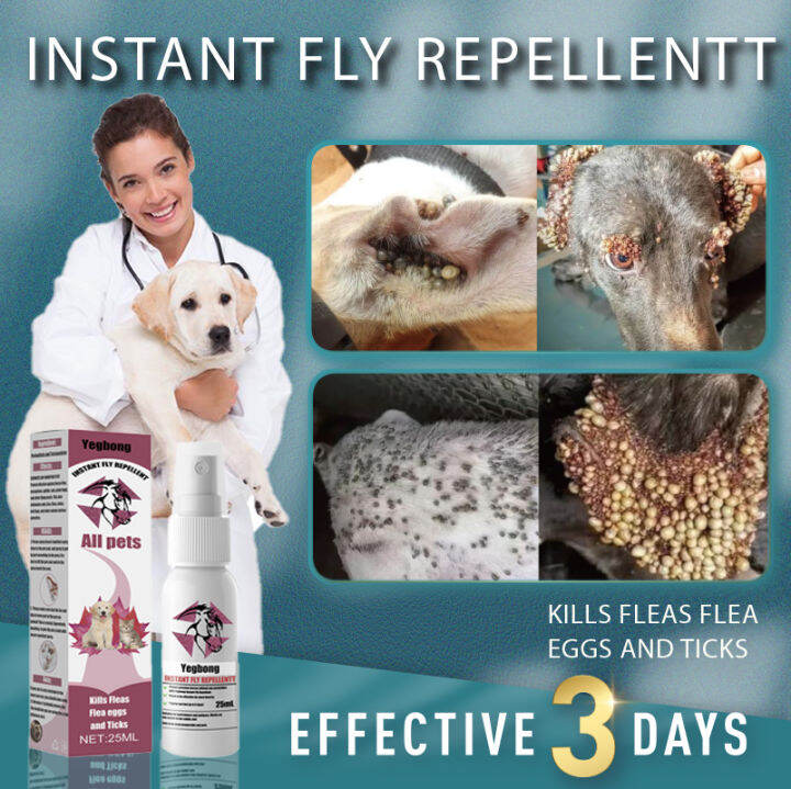 anti tick and flea killer for dogs spray with soap sneaky paws dog