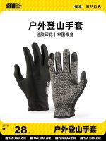 Adventurer outdoor sports gloves summer thin sun protection mountaineering gloves cycling non-slip touch screen men and women