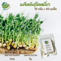 เมล็ดพันธุ์ ต้นอ่อน โตเหมี่ยว (ฺSugar Pea) ไมโครกรีน Microgreens