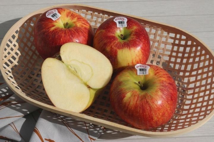 แอปเปิ้ล-envy-1ลูก-xxl-แอปเปิ้ลนิวซีแลนด์-สุดคุ้มมม