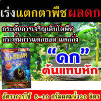 (เห็นผล100%) ผงสาหร่ายทะเล 100 กรัม สูตรเข้มข้น แตกใบ ออกดอก ออกผล เพิ่มขนาดผล เพิ่มน้ำหนัก สามารนำไปใช้ได้ทั้งใน พืชไร่ พืชสวน นาข้าว ไม้ดอก ไม่เป็นอันตรายต่อผู้ใช้