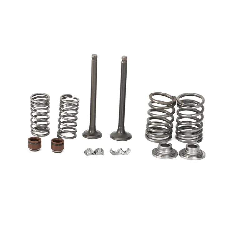 Motorcycle Intake Exhaust Valves Springs 50cc Valve Rebuild Seals Gasket Kit Cylinder Head for
