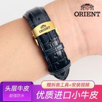 【Hot seller】 orient double lion watch strap leather men and women stainless steel butterfly buckle accessories 20mm