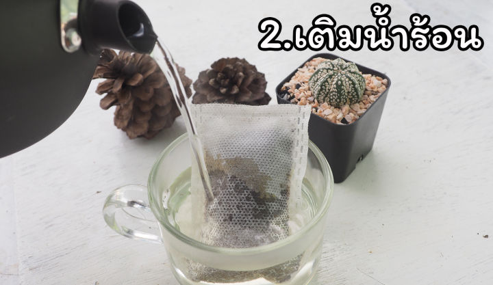 กาแฟสดพร้อมชง-arabica-ดอยช้าง-robusta-ชุมพร