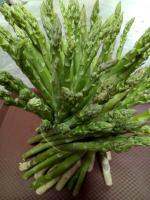 เมล็ดพันธุ์ผักสวนครัว Asparagus หน่อไม้ฝรั่ง เมล็ดพืช seed พร้อมคู่มือการเพาะเมล็ด ปลูกง่าย