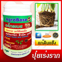 ปุ๋ยเร่งราก แก้ดินแข็ง ปุ๋ยออร์แกนิก ฮิวมิค แอซิด - Organic Humic Acid Granular สามารถใช้กับเกษตรอินทรีย์ได้ ช่วยในการแตกรากฝอย