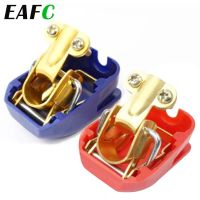 1 Pair + - Electrode Quick Release Lift Off Connector Clamps Car Battery Terminals for Car Caravan Boat Moto Cable Management