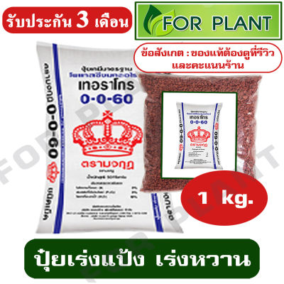 ปุ๋ย สูตร 0-0-60 ตรามงกุฎ บรรจุ 1 กิโลกรัม ปุ๋ยเร่งแป้ง เร่งหวาน บำรุง ราก ปุ๋ยเร่งต้น ใบ ดอก ผล ใส่ผัก ผลไม้ ไม้ดอกไม้ประดับ