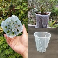 【YF】☁  1pcs Durable Plastic Pot with Hole Anti-rotting Vegetables Transparent Flowerpot Garden Supplies
