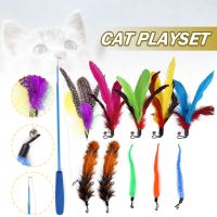 Mapiuo 11PCS Kitten Cat Feather Bell Wand Teaser Rod Interactive Play ของเล่นสำหรับสัตว์เลี้ยง Gift