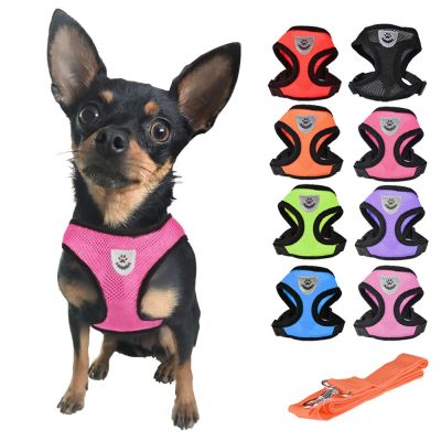 （PAPI PET） Cat Dog Harnesses Leads Adjustable Pet Harness Vest Walking Lead Leash For Puppy Small Medium Dog Cats Collar Chest Strap Pet