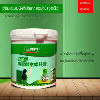 Super-Life สีอะคริลิคสำหรับซ่อมแซมผนังภายในที่กันน้ำกันรา