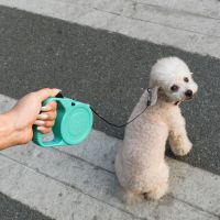 【LZ】cqdrh Retractable Pet Leash for Small Medium Dogs and Cats Convenient and Easy to Use Green Color and for All Seasons