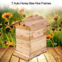 【ลดสุดใจ 】Brood House Box For 7 Auto Honey Bee Hive Frames []100% การประกันคุณภาพ]  ซูเปอร์การเลี้ยงผึ้งกกบ้านกล่องสำหรับ 7 อัตโนมัติน้ำผึ้ง Bee Hive เฟ