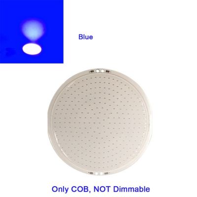 【☑Fast Delivery☑】 gaqiugua6 หลอดไฟแสงตะเกียบกลมหรี่แสงได้12V เส้นผ่านศูนย์กลาง108มม. ชิปบนกระดาน Dc12v โคมไฟ Led สีขาวอบอุ่นเย็นสีฟ้าสำหรับไฟประดับ Diy