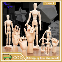 Rex TT Drawing Sketch Mannequin Model Movable Limbs Wooden Hand Body Draw Action Toys Figures Home Decor Artist Models Jointed Doll