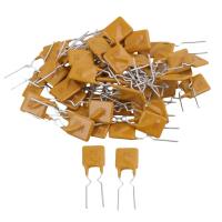 PolySwitch self Resettable Fuse PPTC RUEF 30V 0.9A 1.1A 1.35A 1.6A 1.85A 2A 2.5A 3A 4A 5A 6A 7A 8A 9A100pcs Electrical Circuitry Parts