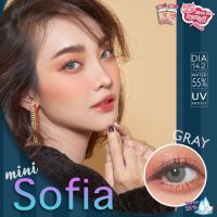 [สายละมุน] Mini Sofia Kittykawaii คอนแทคเลนส์เกาหลี คอนแทคเลนส์ บิ๊กอาย bigeyes contactlens คอนแทคสายตา คอนแทค