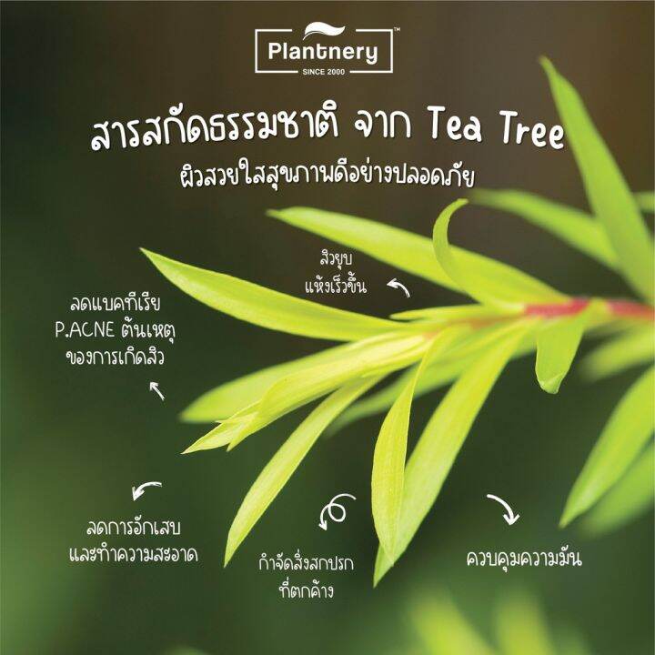 plantnery-tea-tree-facial-cleanser-250-ml-เจลล้างหน้า-ที-ทรี-สูตรช่วยลดสิว-และควบคุมความมัน-บอกลาปัญหาสิว