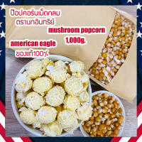 เมล็ดข้าวโพดป๊อปคอร์นmushroom เมล็ดป๊อปคอร์นมัชรูม ป๊อปคอร์นมัชรูม mushroom popcorn  น้ำหนัก 1 กิโลกรัม
