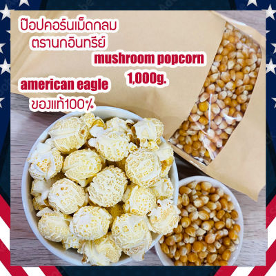 เมล็ดข้าวโพดป๊อปคอร์นmushroom เมล็ดป๊อปคอร์นมัชรูม ป๊อปคอร์นมัชรูม mushroom popcorn ตรานกอินทรีย์ american eagle nonGMO น้ำหนัก1,000กรัม [ของแท้ พร้อมส่งด่วน]