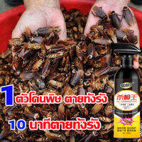 ยากำจัดแมลงสาบ 1ตัวโดนพิษ ตายทั้งรัง 10นาทีตายทั้งรัง ยาฉีดแมลงสาบ 500ml สูตรปลอดภัย ไม่เป็นอันตรายต่อคนและสัตว์เลี้ยง กำจัดแมลงสาบ ประสิทธิภาพยาวนาน ยาฆ่าแมลงสาบ เหมาะสำหรับห้องครัว โรงแรม ฟาร์ม ร้านอาหาร ฯลฯ ฆ่าแมลงสาบ cockroaches killer