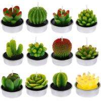 【CW】 6Pcs Cactus Candle Simulated Set Decoration