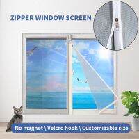 【CW】 Straight Window Mesh Anti-Mosquito Curtains Customizable Curved Net Mosquiteras para Ventana